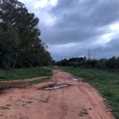 Los Hermanos Podcast