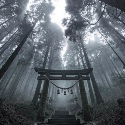 Los Hermanos Podcast