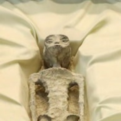 Los Hermanos Podcast