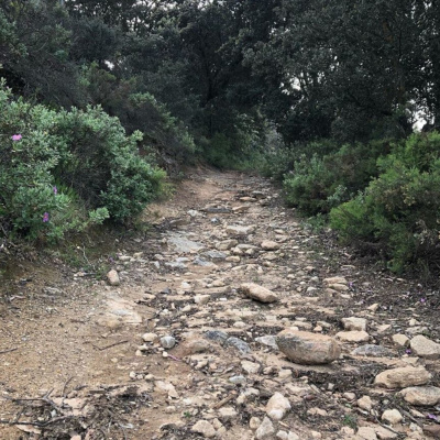 Los Hermanos Podcast