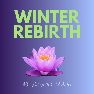 Meditations By Gregory T. Obert