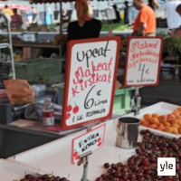 Hinnoittelun psykologia