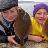 Viggo och Olga fiskar plattfisk