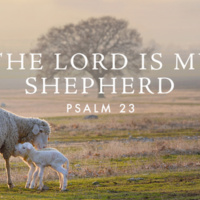 Psalm 23