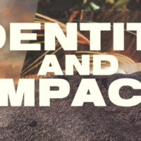 Identity  Impact