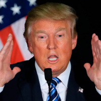 Kan Donald Trump få sparken?