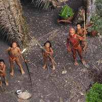 Okänt folk upptäckt i Amazonas regnskog