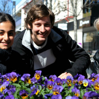 Mobiltelefoner, Yohio och drömmen om att slå igenom 