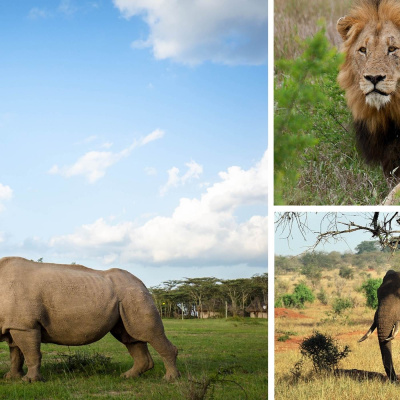 Nyheter I Barnradion