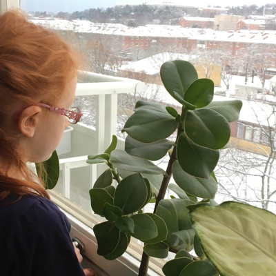 Nyheter I Barnradion