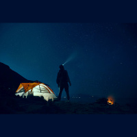 Wendy Schultz: Visiointi