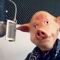 El Sr Ramón no vol pagar el peatge.