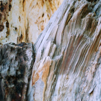 Episodio #9 Dani Umpi - Francisco Garamona - Carmen Sandiego