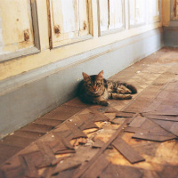 Episodio #10 Agustín González - Rosario Bléfari - Mi Nave