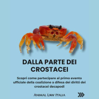 Considera l’armadillo di lunedì 06/10/2025