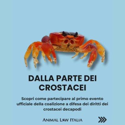 Considera Larmadillo