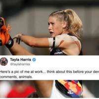 Whats the mindset of an online troll?