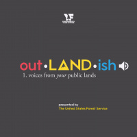 Julian Carr and The Fix