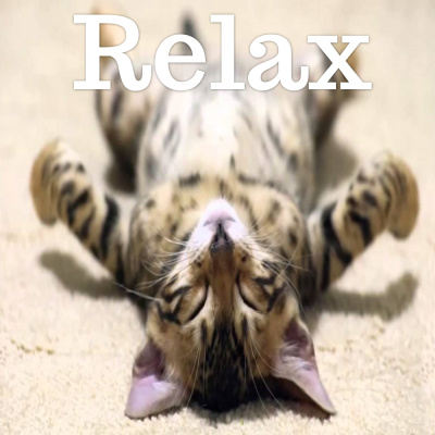 Joyous - A Seaside Center, Rev. Christian Sorensen Podcast