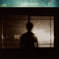 Att fånga en fönstertittare (R)