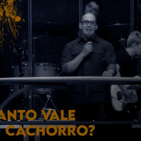 Quanto Vale Seu Cachorro? - Marcelo Bigardi