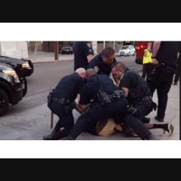 A Just Cause - Excessive Force in Americas Criminal Justice System