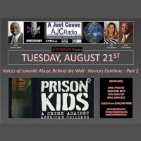 AJC - Voices of Juvenile Abuse Behind the Wall - Horrors Continue - Part 2