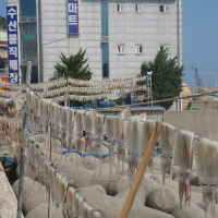 Do the Funky Boogaloo