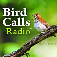 BCR 206: Paul Desjardins, Longtime Birder