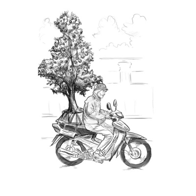 Cement Factory No.9 - Tales From A Hanoi Bookshop