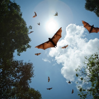 Audio Reads: Toby Young, Douglas Murray, and Melissa Kite