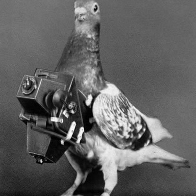 The Spectator Podcast