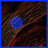 Episode 7 - At the heart of clinical genetics