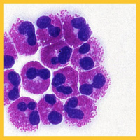 Episode 8 - Breathing easy with lncRNA