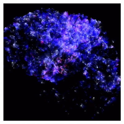 Supplemental Material