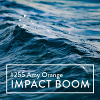 Episode 255 (2021) Amy Orange On Developing The South Australian Social Enterprise Ecosystem