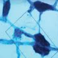 The Truth About The Imagination