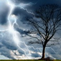 An Introduction to My Next Book