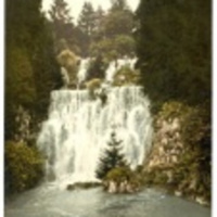 Understanding Disease