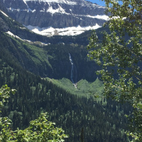 P2 Brain Heart Connection Workshop Montana