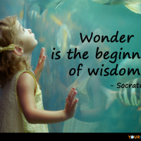 How The Body Works As A Receiver