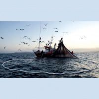 Pesca ilegal en el mar argentino 