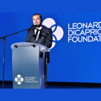 Artistas ambientalistas