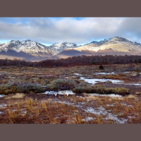 Turberas en Península Mitre