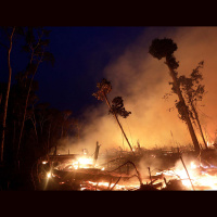 Fuego en el Amazonas