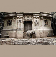 Ecoparque porteño: un proyecto sin rumbo