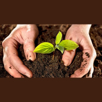 ¿Cómo hacer compost en tu casa?