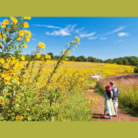Praderas naturalizadas