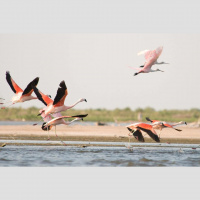 Nuevas áreas protegidas en la Argentina