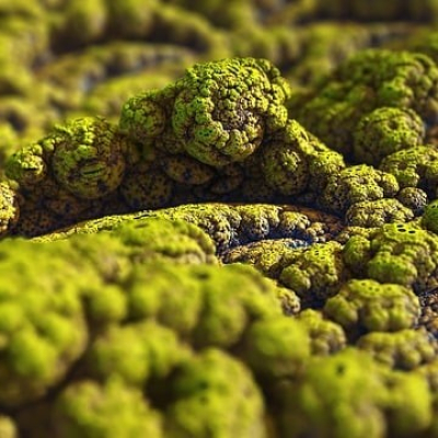 Dnd Raw | Dd Actual Play Podcast